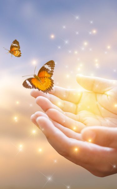 the girl frees the butterfly from the jar, golden blue moment co the girl frees the butterfly from the jar, golden blue moment co